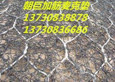 ·o(h)W(wng)ʯ\W(wng)Sʯ\W(wng)䡢eW(wng)ʯ\W(wng)l(f)
