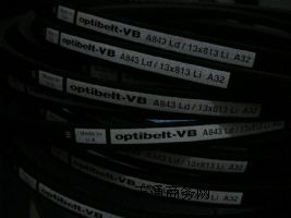 ԭbM(jn)Ϻ(gu)W؊WOPTIBELTǎͬ