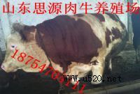 KţB(yng)ֳ(chng),NţX(˼ԴI(y)