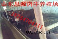 B(yng)ţ?l(f)¸B(yng)ֳ(xing)Ŀ ˼ԴI(y)