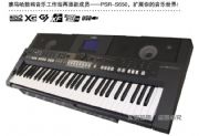 Rpsr-s650 2900Ԫ