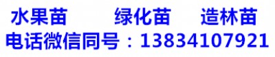 5և(gu)(sh)-6և(gu)