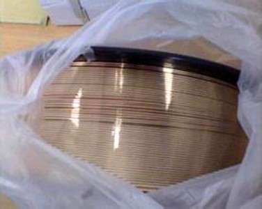 qal9-4X~z hl309yl
