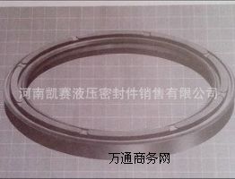 供應非標油封密封圈