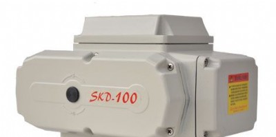 skd-100_P(gun)늄ӵy