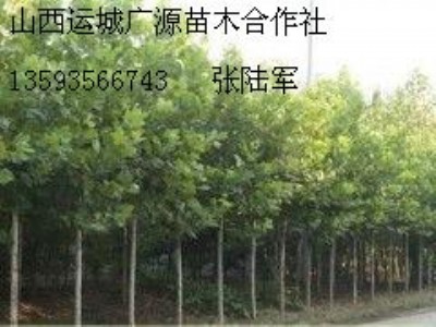 56ַͩ̓r(ji)