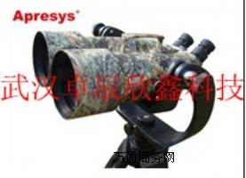 (yng)APRESYSRɫhR AP100