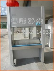 雙人生物安全柜 生物安全柜 100%排生物安全柜