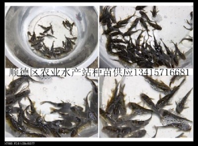 S~硢ȫS~硢S~硢S~ˮ
