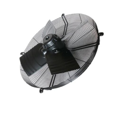 fb06-6ek.4i.v4pʩziehl-a