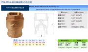臺(tái)灣RING東光閥門(mén)FIG.173砲金銅緩沖式逆止閥