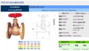 臺(tái)灣RING東光閥門FIG.363砲金銅球型閥