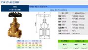 臺灣RING東光閥門FIG.501鍛造閘閥