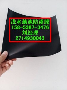 ػʍu(yng)ӵBĤ400gɲһĤr