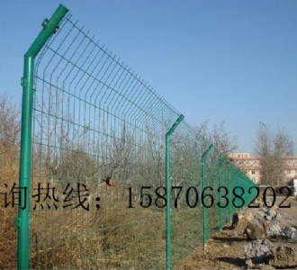 (zhn)@և Sh䓽zW(wng)Ҏ(gu) ƺo(h) FzW(wng)ڶX(qin)