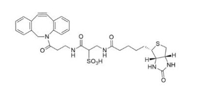 ws dbco-biotin1363444-70-5-h(hun)Ȳ-
