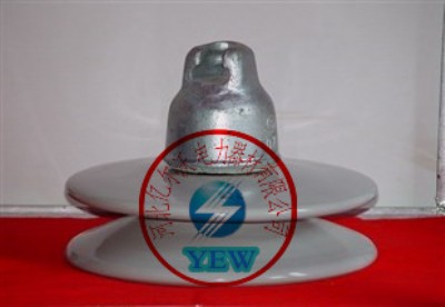 xwp-100 ʽƿ