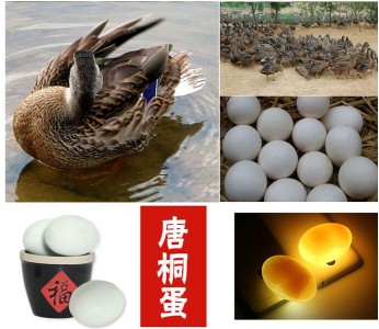 ͩ  ƺخa(chn) خa(chn) Yb40ö r128Ԫ