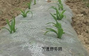 (yng)I(y)bĤĤĤr(nng)Ĥ(zhun)I(y)a(chn)أƷ