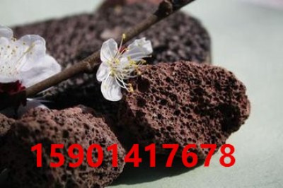 @ˇúɫɽrV