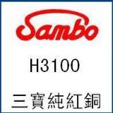ϺǢl(f)H3100t~̓rl(f)