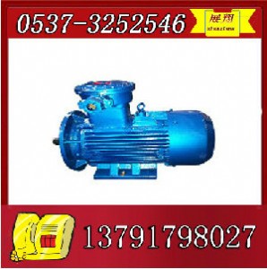 ybk2-250m-4늙C