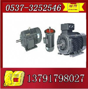 ybk2-100l1-4늙C(j)