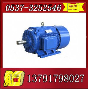 ybk2-112m-6늙C(j)ur(ji)