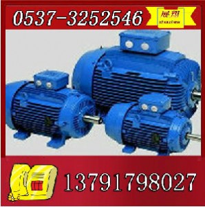 ybk2-315s-6늙C(j)