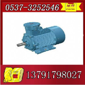 ybk2-225s-8늙C