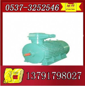 ybk2-315m-8늙C(j)