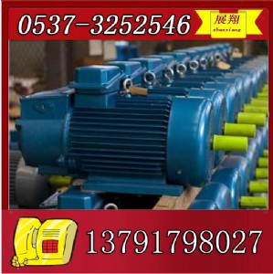 yzre-11-8늙C(j)