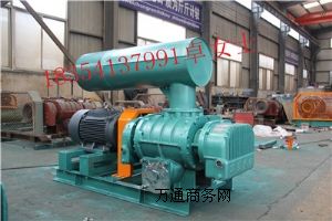 章丘密集型風(fēng)機(jī) 章丘專業(yè)風(fēng)機(jī)廠家 密集型羅茨風(fēng)機(jī)